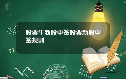 股票牛新股中签股票新股中签规则
