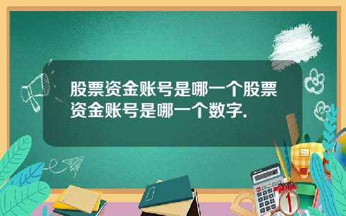 股票资金账号是哪一个股票资金账号是哪一个数字.