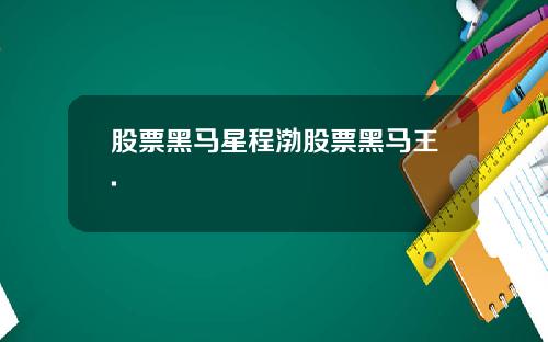 股票黑马星程渤股票黑马王.