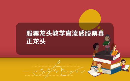 股票龙头教学禽流感股票真正龙头