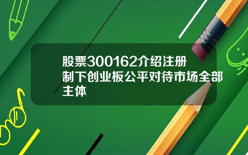 股票300162介绍注册制下创业板公平对待市场全部主体