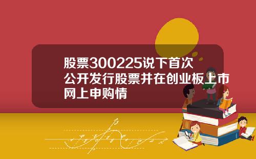 股票300225说下首次公开发行股票并在创业板上市网上申购情