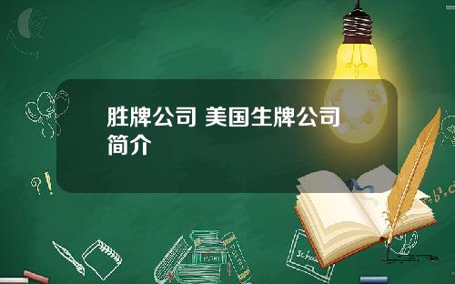 胜牌公司 美国生牌公司 简介