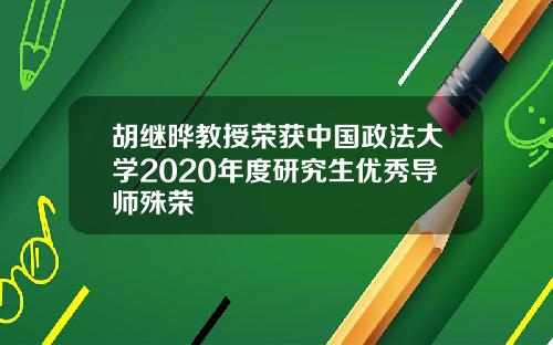 胡继晔教授荣获中国政法大学2020年度研究生优秀导师殊荣