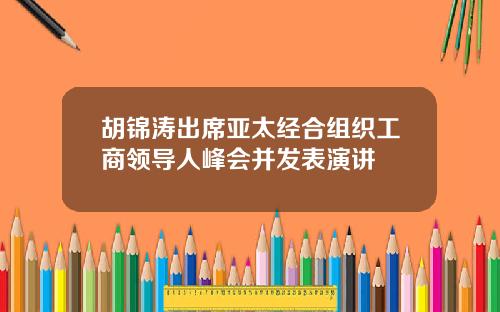 胡锦涛出席亚太经合组织工商领导人峰会并发表演讲