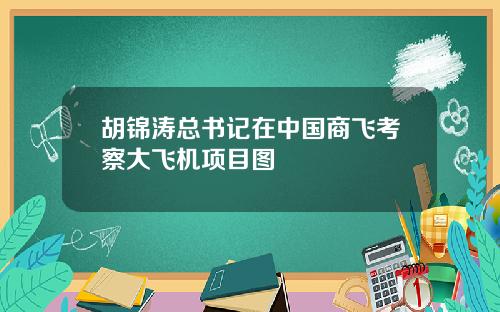 胡锦涛总书记在中国商飞考察大飞机项目图