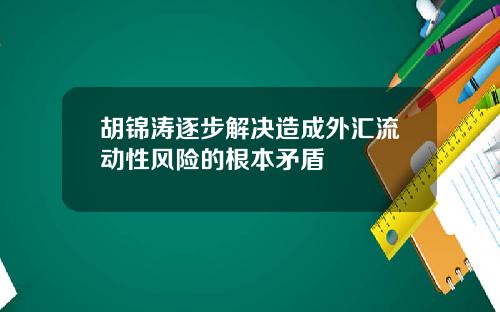 胡锦涛逐步解决造成外汇流动性风险的根本矛盾