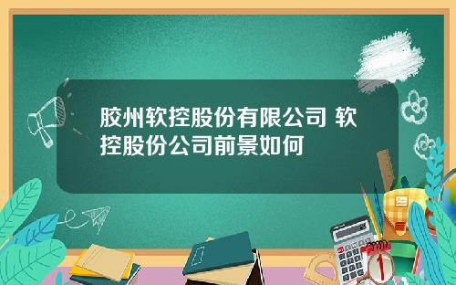 胶州软控股份有限公司 软控股份公司前景如何