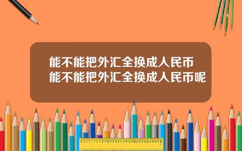 能不能把外汇全换成人民币能不能把外汇全换成人民币呢