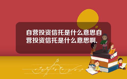 自营投资信托是什么意思自营投资信托是什么意思啊.