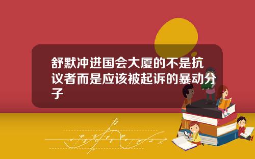 舒默冲进国会大厦的不是抗议者而是应该被起诉的暴动分子