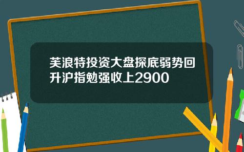芙浪特投资大盘探底弱势回升沪指勉强收上2900