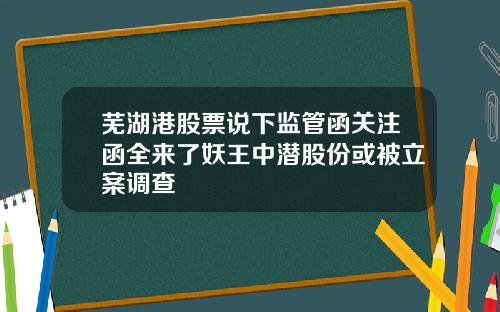 芜湖港股票说下监管函关注函全来了妖王中潜股份或被立案调查