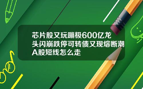 芯片股又玩蹦极600亿龙头闪崩跌停可转债又现熔断潮A股短线怎么走