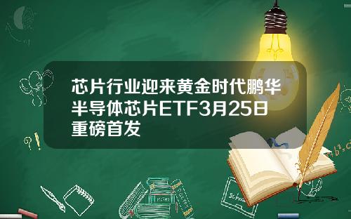 芯片行业迎来黄金时代鹏华半导体芯片ETF3月25日重磅首发