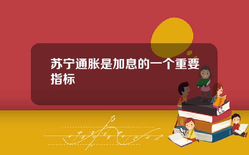 苏宁通胀是加息的一个重要指标