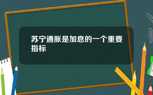 苏宁通胀是加息的一个重要指标