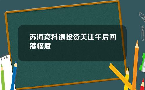 苏海彦科德投资关注午后回落幅度
