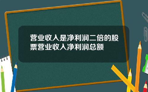 营业收入是净利润二倍的股票营业收入净利润总额
