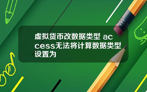 虚拟货币改数据类型 access无法将计算数据类型设置为