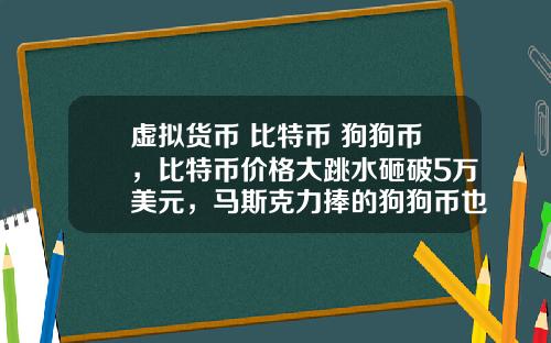 虚拟货币 比特币 狗狗币,比特币价格大跳水砸破5万美元,马斯克力捧的狗狗币也跌26%,砸盘元凶是谁?