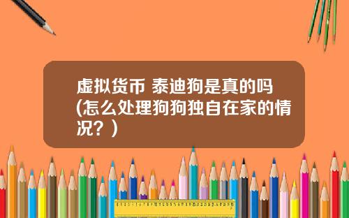 虚拟货币 泰迪狗是真的吗(怎么处理狗狗独自在家的情况？)