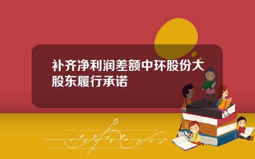 补齐净利润差额中环股份大股东履行承诺