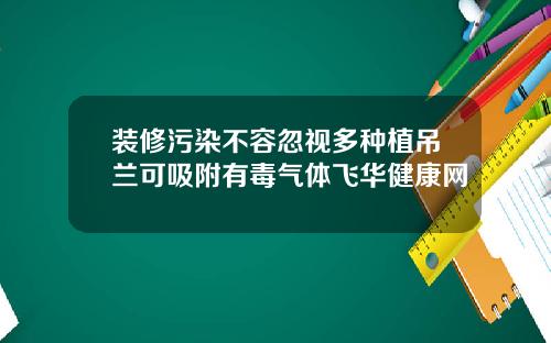 装修污染不容忽视多种植吊兰可吸附有毒气体飞华健康网