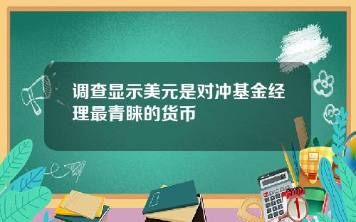 调查显示美元是对冲基金经理最青睐的货币
