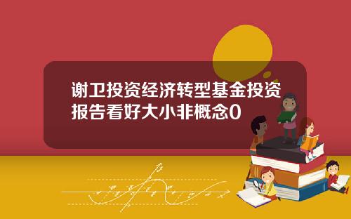 谢卫投资经济转型基金投资报告看好大小非概念0