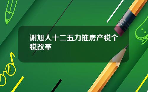 谢旭人十二五力推房产税个税改革