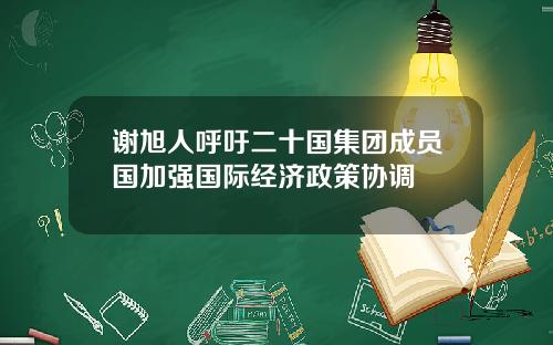 谢旭人呼吁二十国集团成员国加强国际经济政策协调
