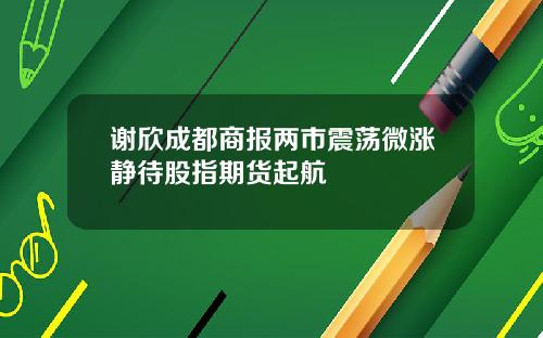 谢欣成都商报两市震荡微涨静待股指期货起航