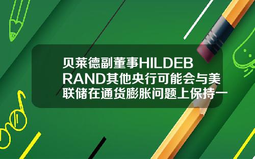 贝莱德副董事HILDEBRAND其他央行可能会与美联储在通货膨胀问题上保持一致