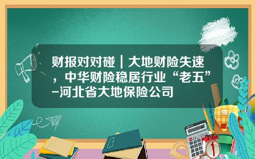 财报对对碰｜大地财险失速，中华财险稳居行业“老五”-河北省大地保险公司