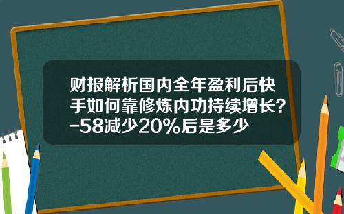 财报解析国内全年盈利后快手如何靠修炼内功持续增长？-58减少20%后是多少