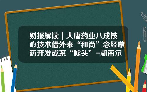 财报解读｜大唐药业八成核心技术借外来“和尚”念经蒙药开发或系“噱头”-湖南尔康制药股份有限公司怎么样