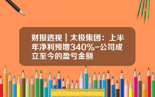财报透视｜太极集团：上半年净利预增340%-公司成立至今的盈亏金额