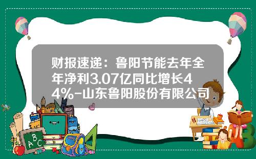财报速递：鲁阳节能去年全年净利3.07亿同比增长44%-山东鲁阳股份有限公司2013财务年报