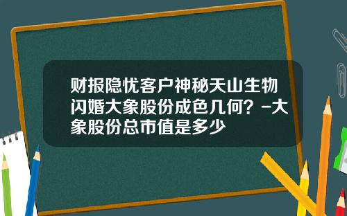 财报隐忧客户神秘天山生物闪婚大象股份成色几何？-大象股份总市值是多少