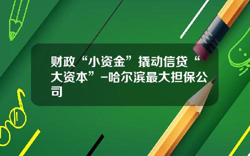 财政“小资金”撬动信贷“大资本”-哈尔滨最大担保公司