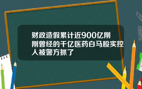 财政造假累计近900亿刚刚曾经的千亿医药白马股实控人被警方抓了