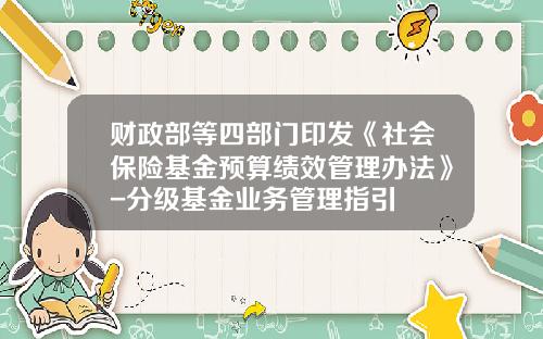 财政部等四部门印发《社会保险基金预算绩效管理办法》-分级基金业务管理指引