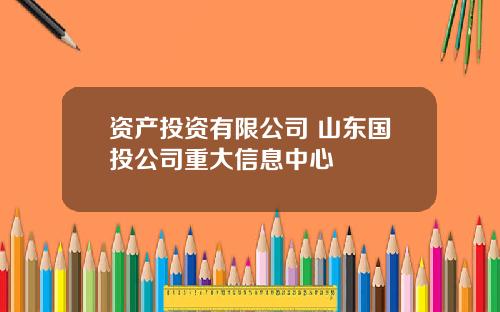资产投资有限公司 山东国投公司重大信息中心