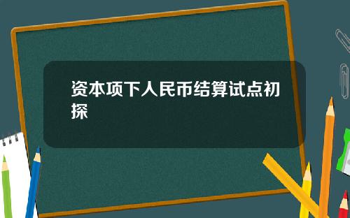 资本项下人民币结算试点初探
