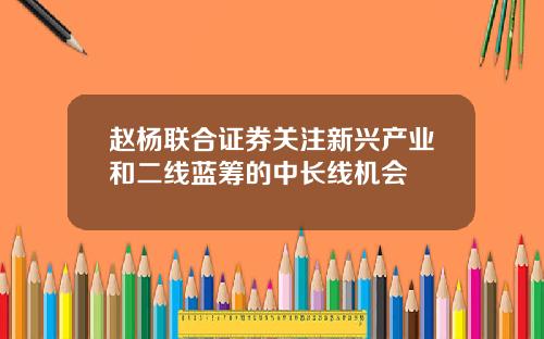 赵杨联合证券关注新兴产业和二线蓝筹的中长线机会