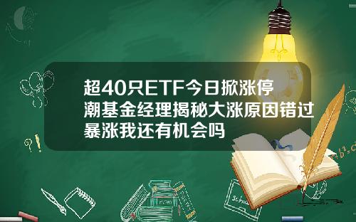 超40只ETF今日掀涨停潮基金经理揭秘大涨原因错过暴涨我还有机会吗