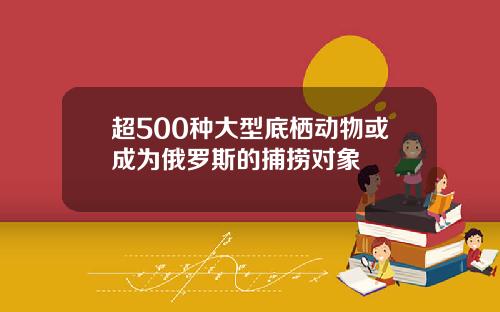 超500种大型底栖动物或成为俄罗斯的捕捞对象