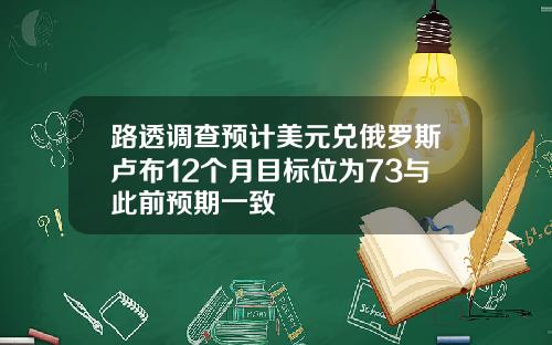 路透调查预计美元兑俄罗斯卢布12个月目标位为73与此前预期一致