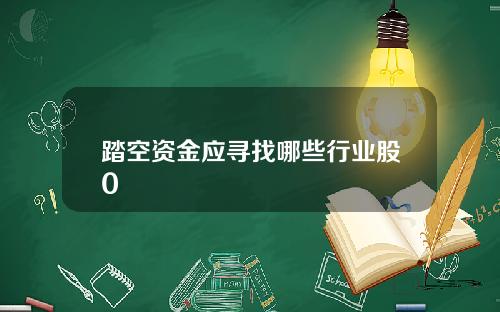 踏空资金应寻找哪些行业股0
